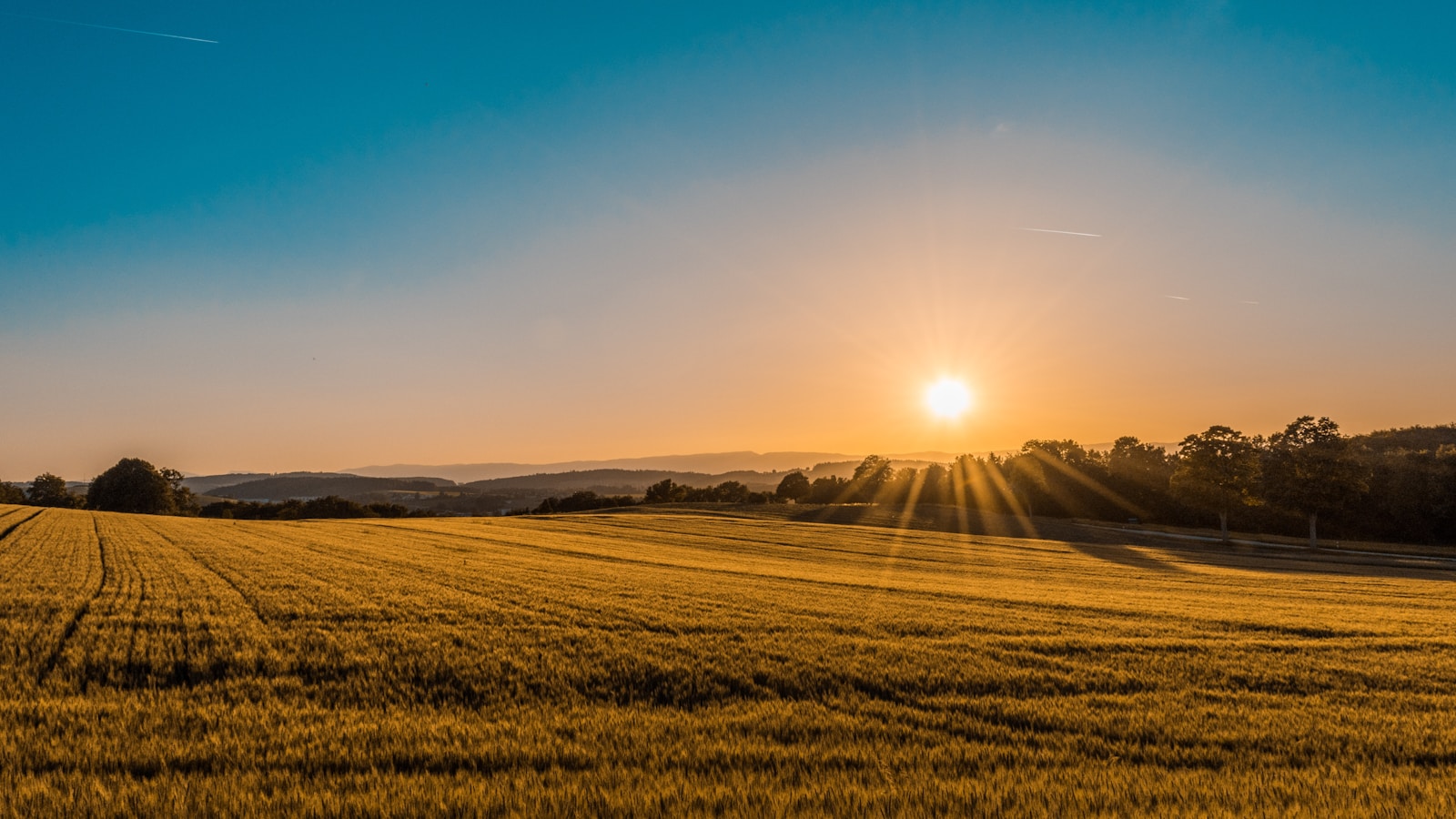 Terrain agricole étudié par Créalis en Belgique