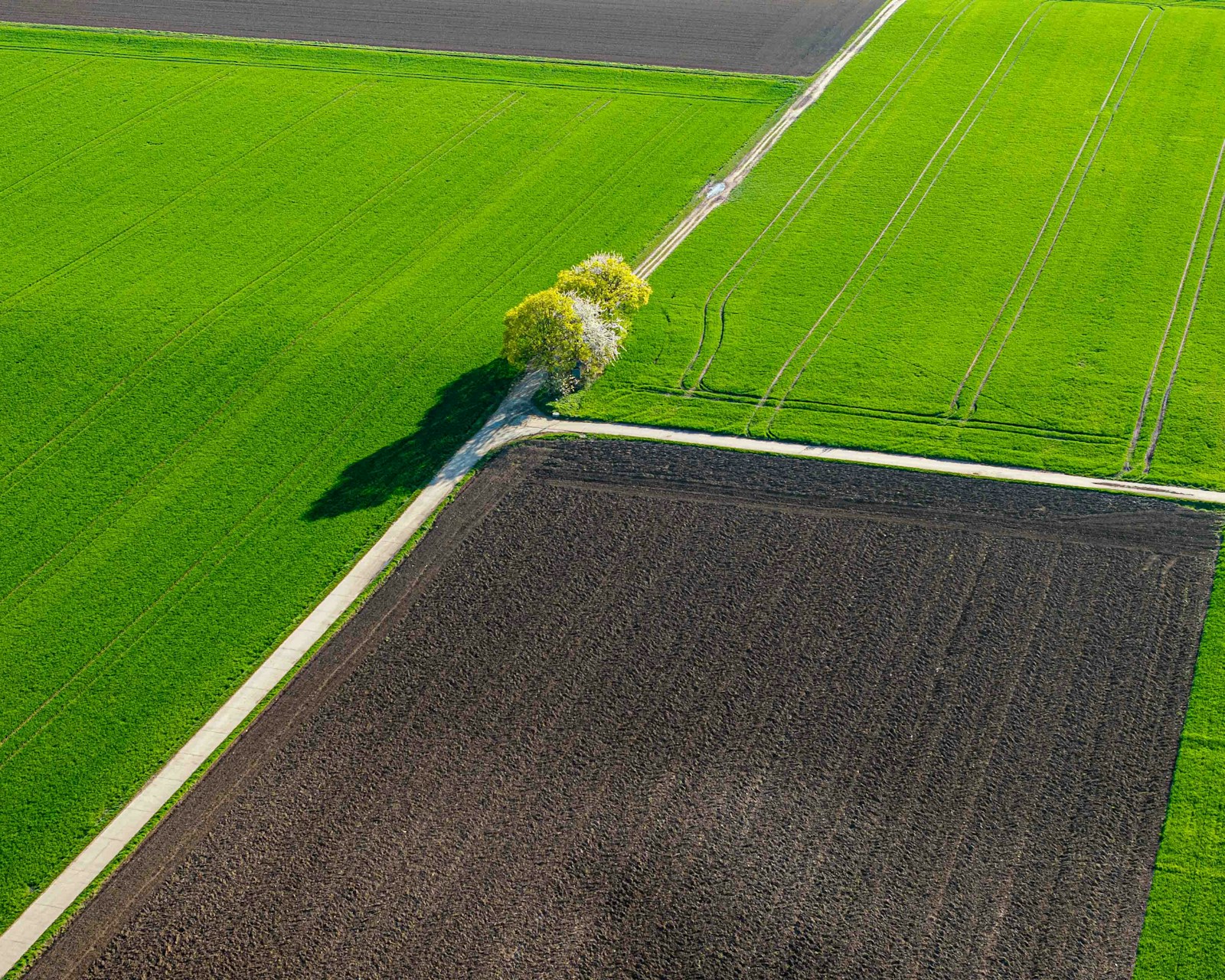 Piste de roulage aménagée traversant un champ cultivé